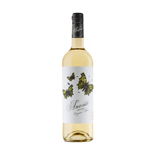 Ananto Blanco 2020 Weißwein Utiel-Requena