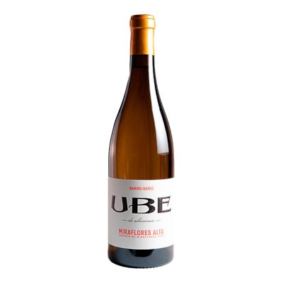 UBE Caserio de Miraflores Alta 2024