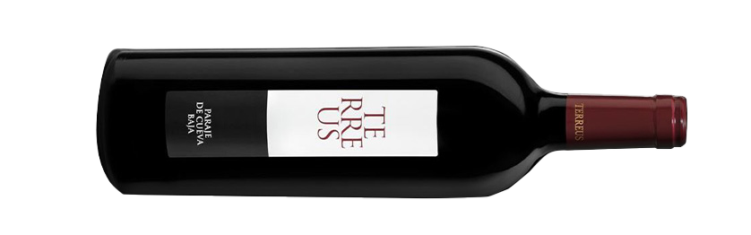 Mauro Terreus 2017 Rotwein Vino de la Tierra liegende Flasche