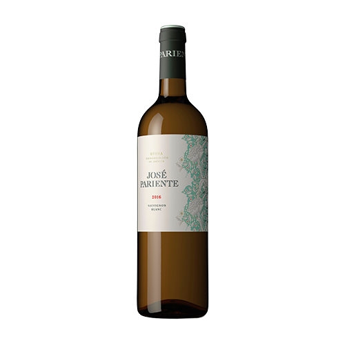 José Pariente Sauvignon Blanc 2020 Weißwein Rueda